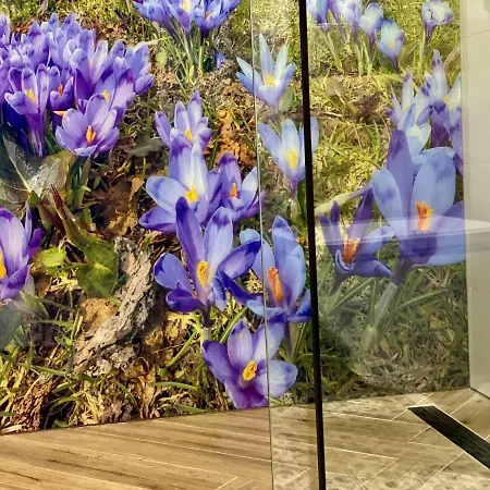 Goralski Na Ubocy Z Jacuzzi *